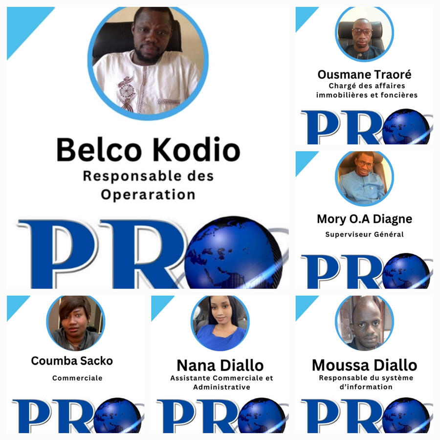 PRO SERVICES SARL Pro services